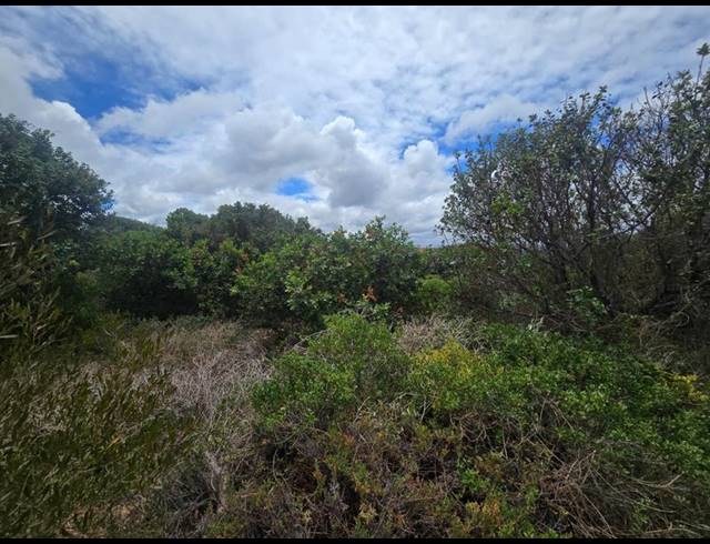 LAND FOR SALE IN STILBAAI-WES